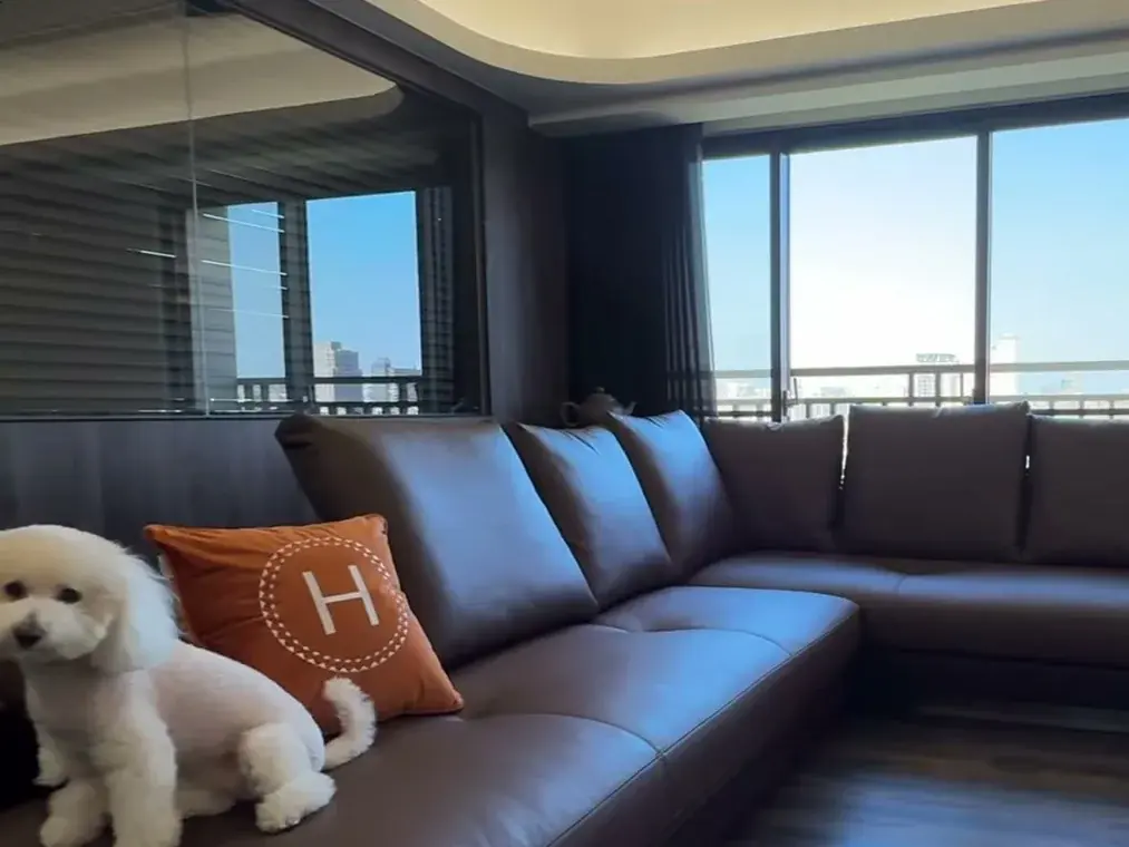 台中南區謝公館客廳,咖啡色皮革 L 型沙發與大面窗景